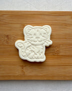 Tiger Colour-In Cookie Kit