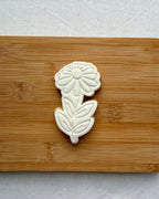 Daisy Colour-In Cookie Kit